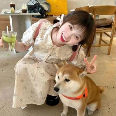 送赞雪橇犬